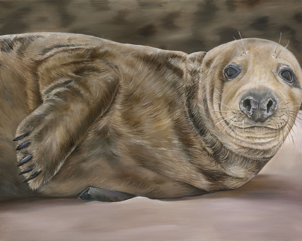 Seal